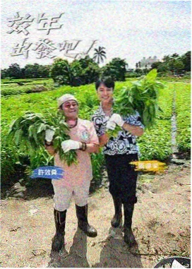 五十公里桃花坞